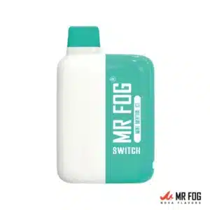 Mint Menthol Ice Mr Fog Switch 5500